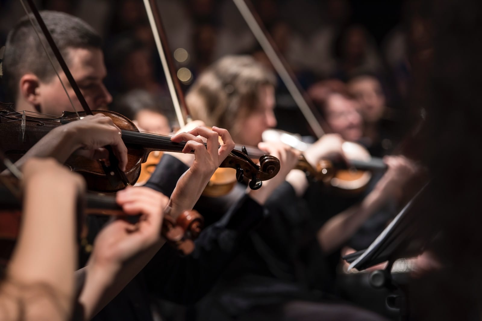 How Much Do String Quartets Cost? [Price Stats] Pricing And Cost Data